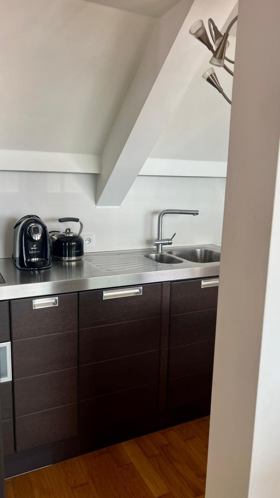 Apartman Se Saunou A Terasou S Vyhledem Na Brno Luaran gambar