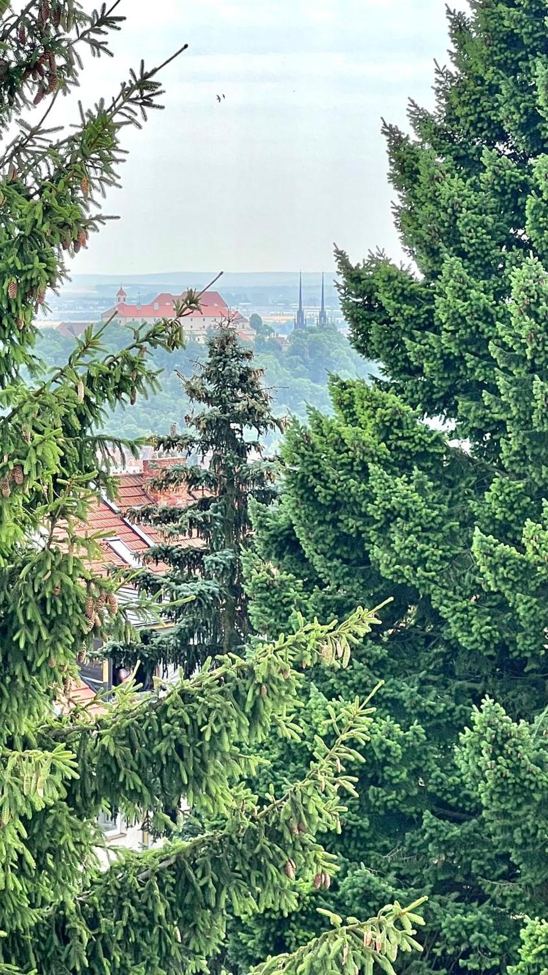 Apartman Se Saunou A Terasou S Vyhledem Na Brno Luaran gambar