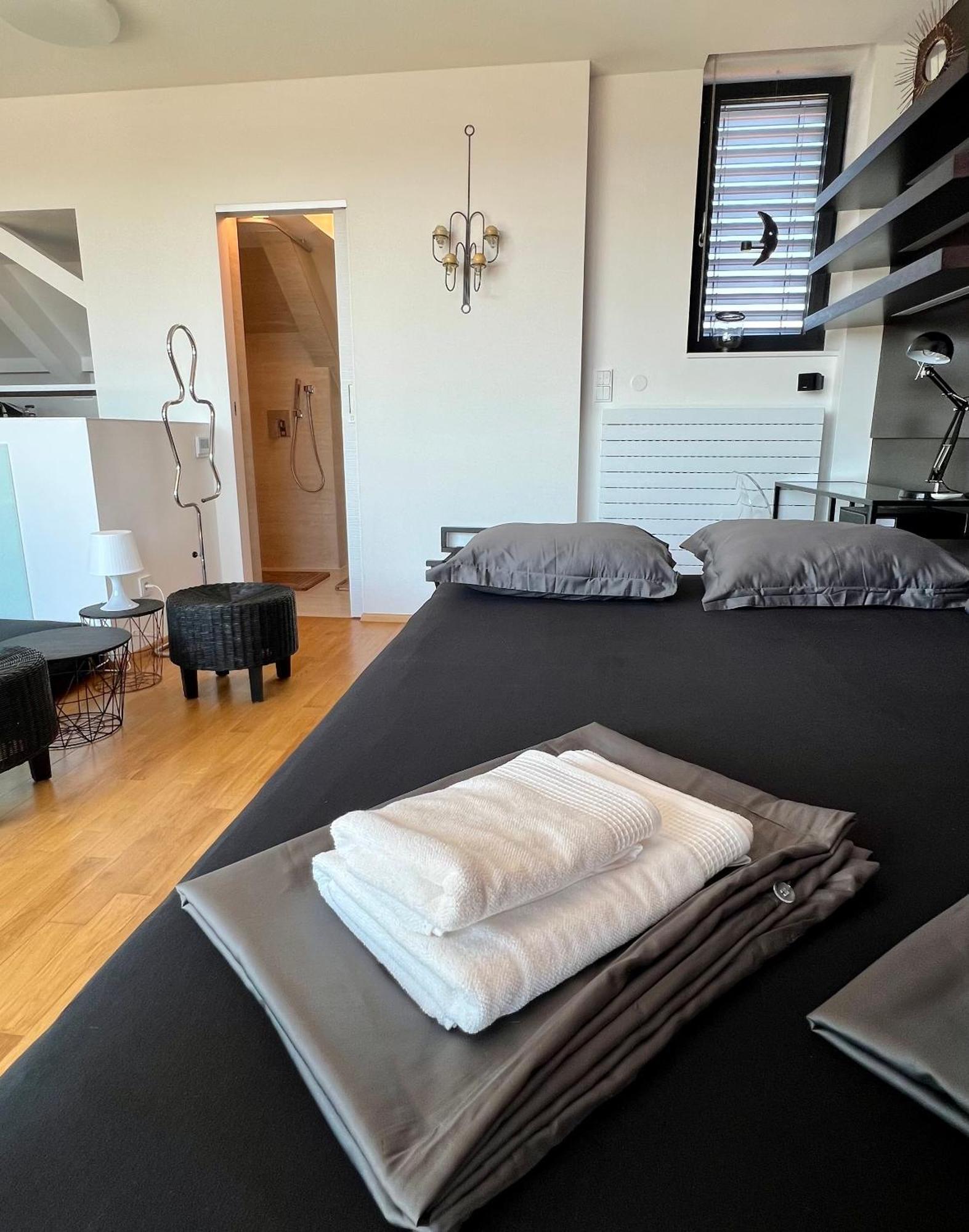 Apartman Se Saunou A Terasou S Vyhledem Na Brno Luaran gambar